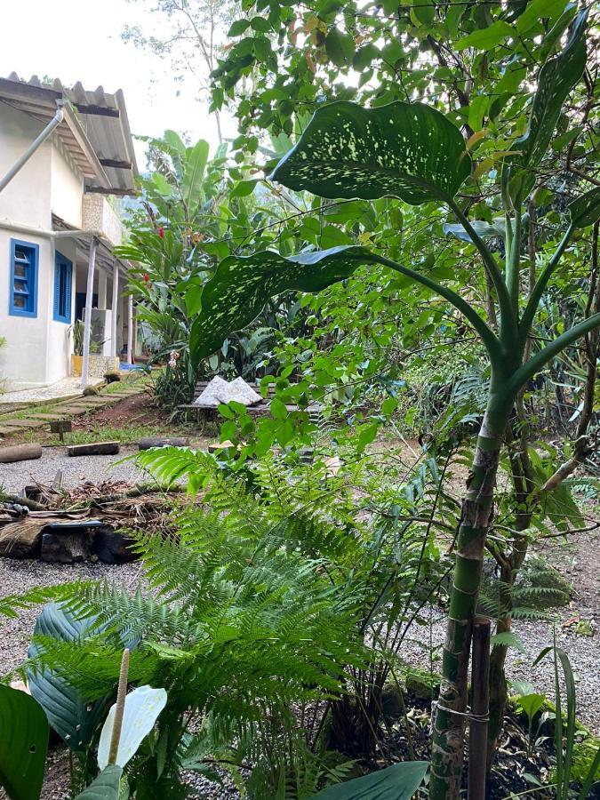 Casa Dos Ventos - Refugio, Sustentabilidade, Conexao ウバトゥバ エクステリア 写真