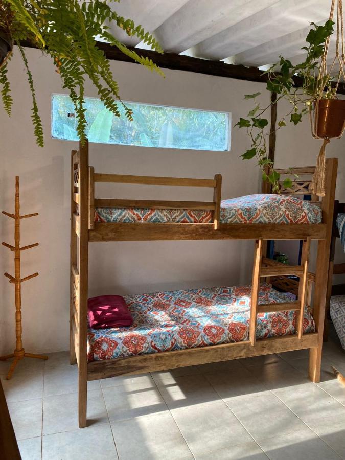 Casa Dos Ventos - Refugio, Sustentabilidade, Conexao ウバトゥバ エクステリア 写真