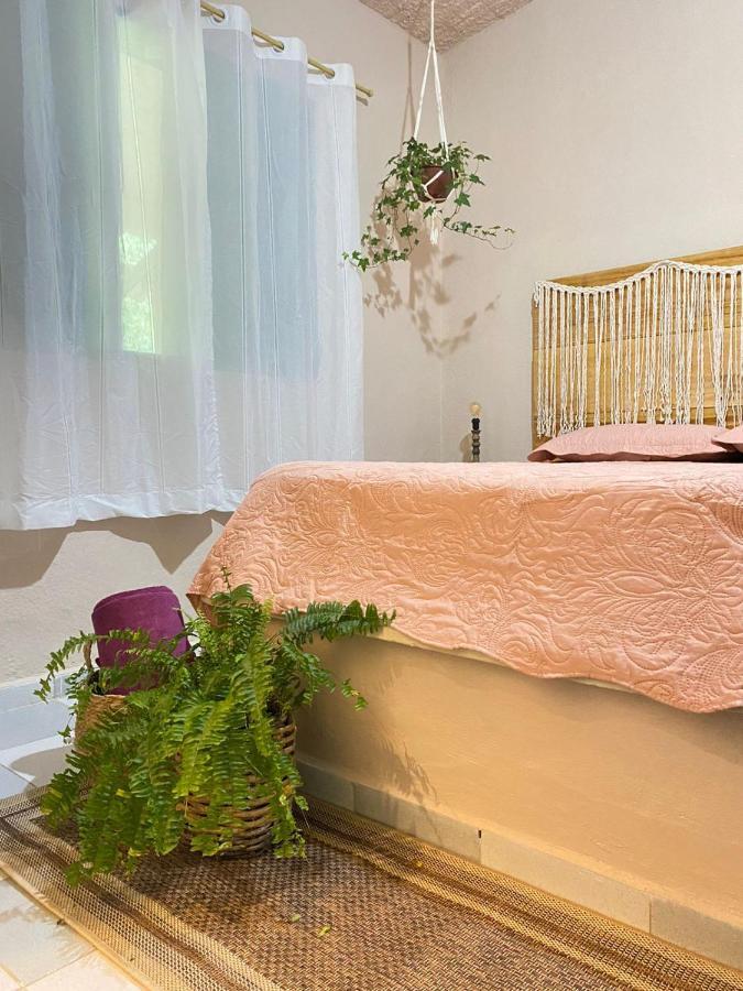 Casa Dos Ventos - Refugio, Sustentabilidade, Conexao ウバトゥバ エクステリア 写真