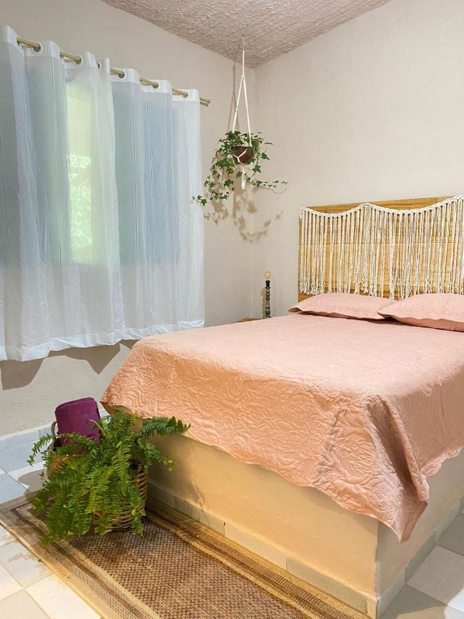 Casa Dos Ventos - Refugio, Sustentabilidade, Conexao ウバトゥバ エクステリア 写真